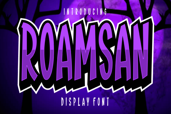 Roamsan: A Versatile Display Font for Bold Branding